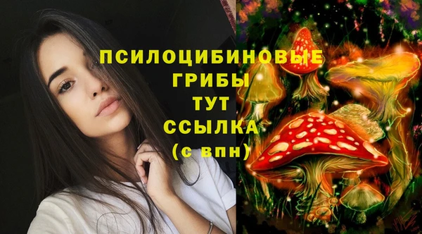 амф Алексеевка