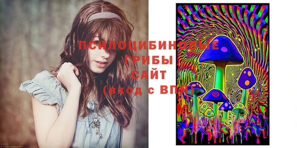 хмурый Алзамай