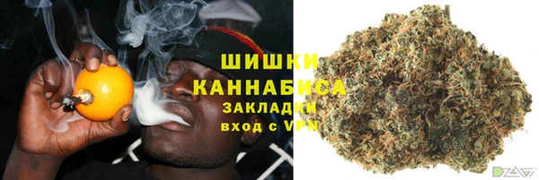 хмурый Алзамай